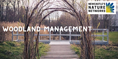 Image principale de Woodland Management Volunteer Session