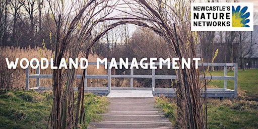 Immagine principale di Woodland Management Volunteer Session