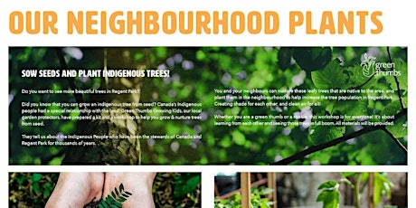 Our Neighbourhood Plants (Cohort 2) primary image