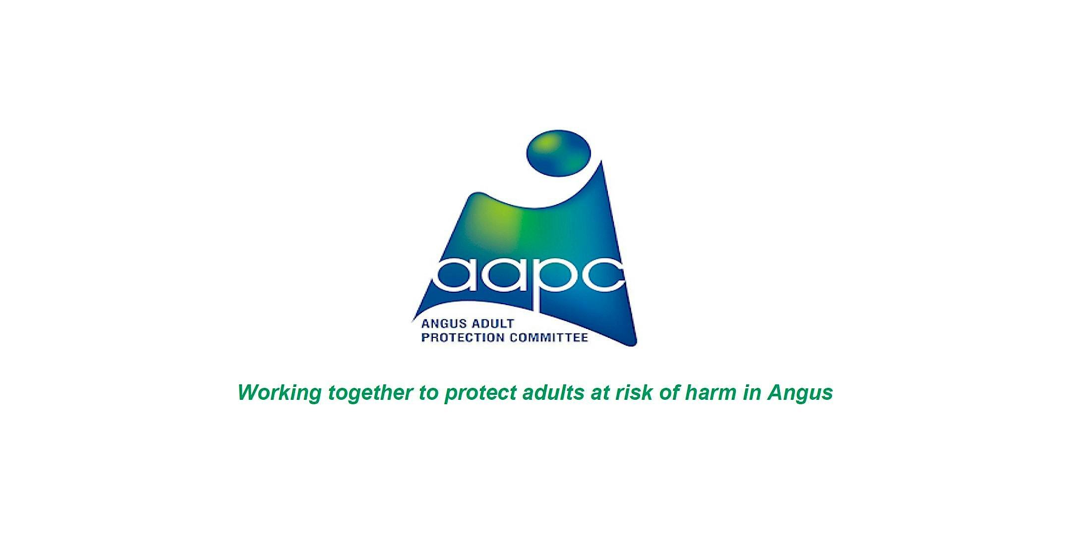 Roles and Responsibilities in the Protection of Adults