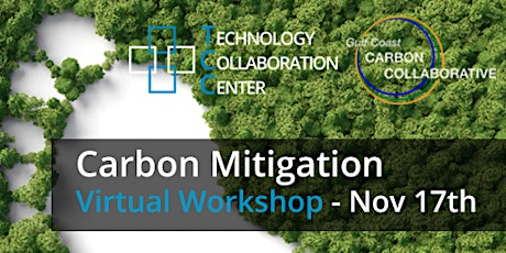 Carbon Mitigation Virtual Workshop