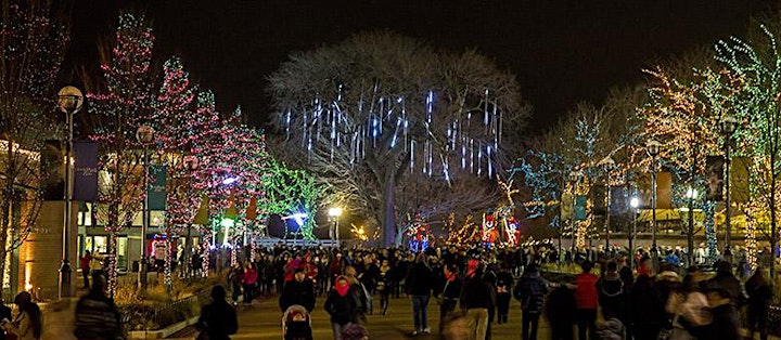 Chicago's BYOB Party Bus Holiday Lights Tour 'Tis The Season - 2021 image