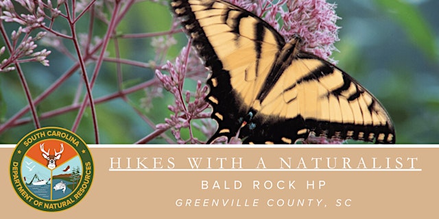 Imagem principal de Hikes with a Naturalist - Bald Rock Heritage Preserve