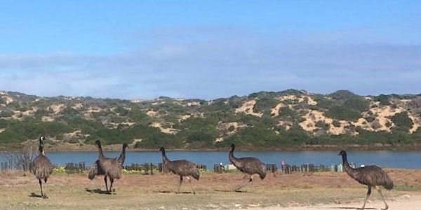 Ranger Guided Bushwalk at Parnka Point - Coorong National Park