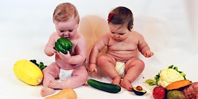 Imagem principal de Baby's First Food Workshop