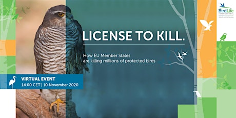 Primaire afbeelding van License to kill: how EU Member States kill millions of protected birds