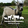 Peaceful Fields Sanctuary's Logo