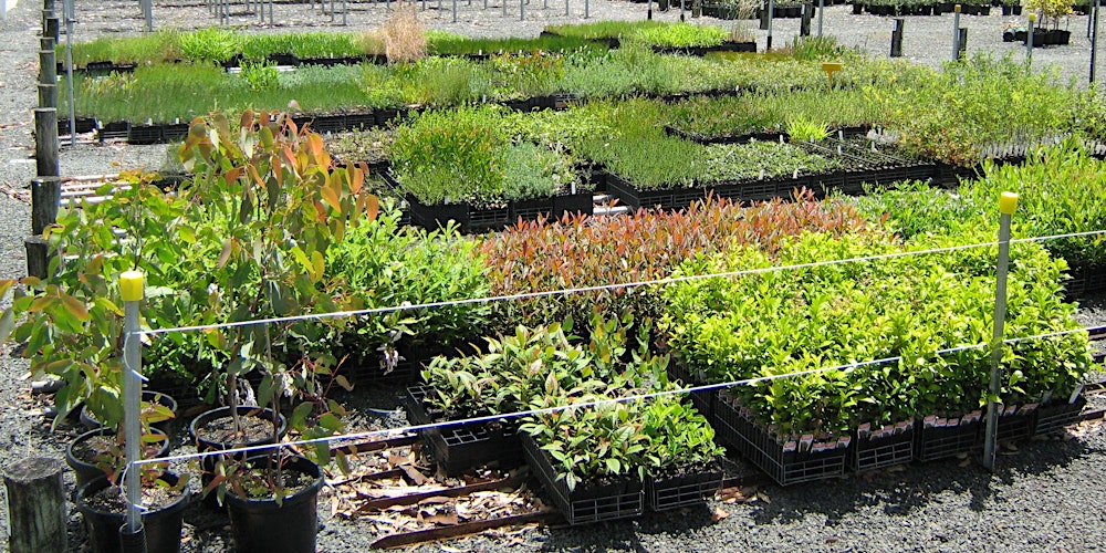 Photo of Sutherland Shire Community Nursery Tour - Seniors Festival