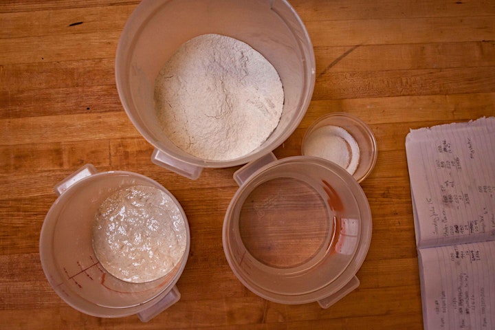 Sour Flour Starter Workshop image