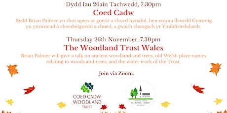 Winter Event Series: Woodland Trust Wales primary image