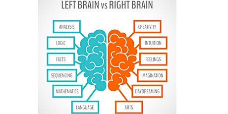 Left Brain Right Brain Co-ordination primary image