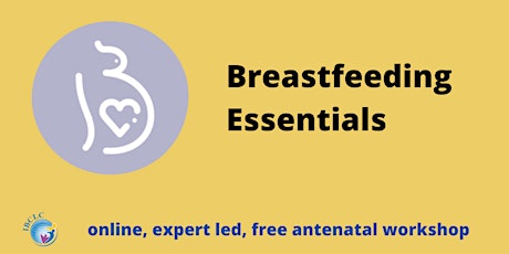 Breastfeeding Essentials Workshop primary image