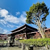 Fo Guang Shan Buddhist Temple NZ's Logo