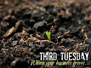 Third Tuesday - Growing your business. December 2014 primary image