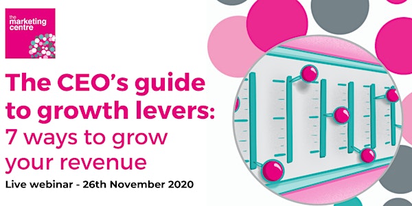 The CEO’s Guide to Growth Levers: 7 Ways to Grow Your Revenue - 26/11/2020
