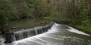 Image principale de Wild Foods of the Frome