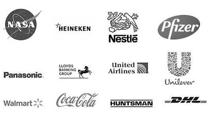 Certified Sustainability (ESG)Practitioner Program, Leadership Edition 2021 image