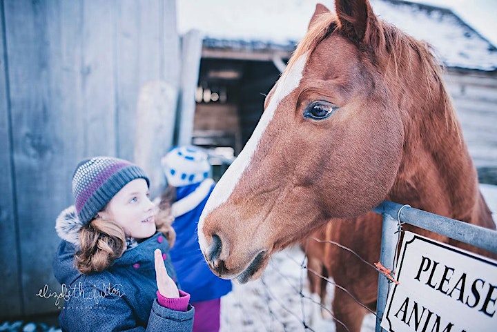 
		Christmas down on the farm image
