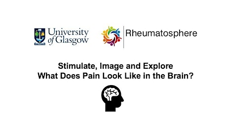 Stimulate, Image and Explore: What Does Pain Look Like in the Brain primary image