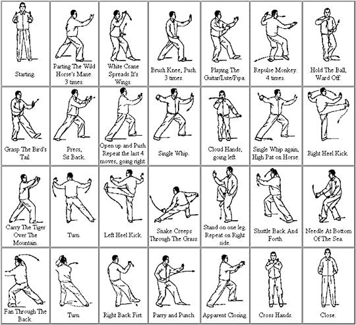 Tai Chi Series - Review and Practice all 108 Moves (all experience levels) image