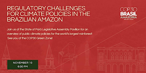 Image principale de Regulatory challenges for climate policies in the Brazilian Amazon