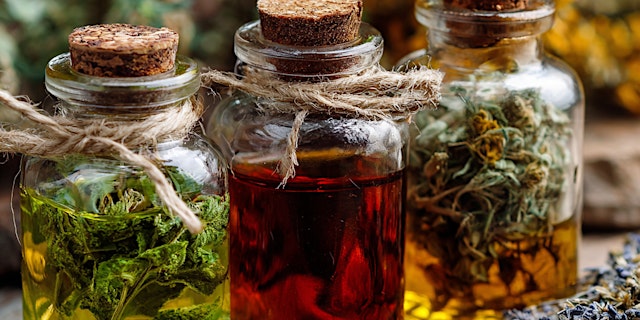 Image principale de Herbal Immune Prep: Building Strength Before Fall