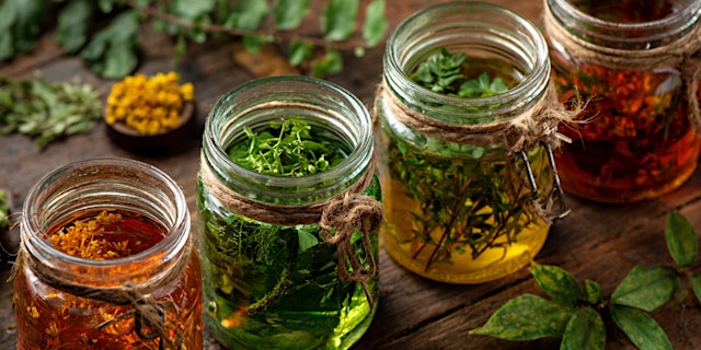 Image principale de Mind & Focus: Herbal Support for Study & Work