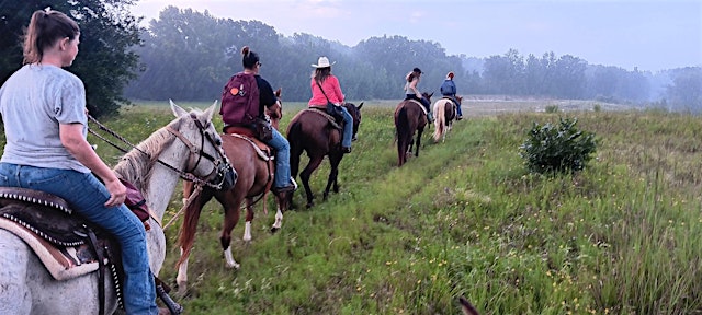 1 hour Mineola Nature Preserve Horseback Tour primary image