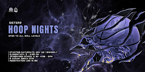 Immagine principale di Sisters' Hoop Nights