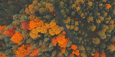 Image principale de Humanize Nature: Evergreen Brick Works