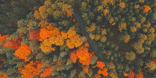 Image principale de Humanize Nature: Evergreen Brick Works