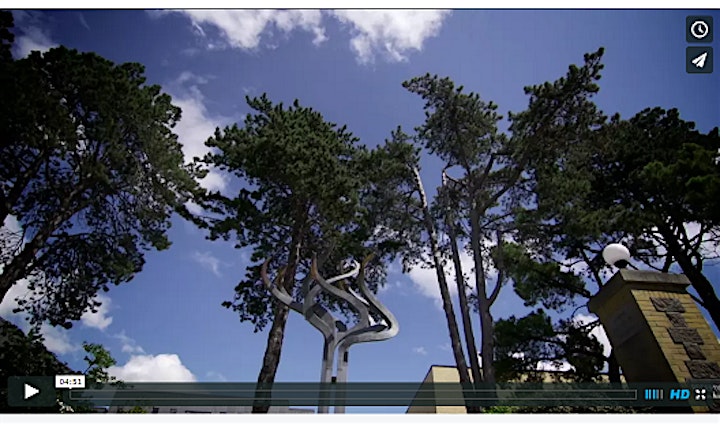 Practitioner Diploma in Coaching with Neuroscience - June start image