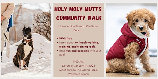 Image principale de Community Dog Walk