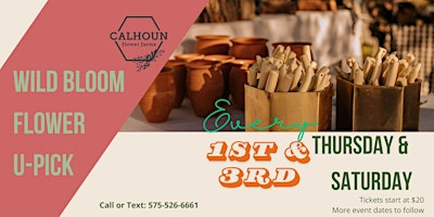 Image principale de Post Frost November U-Pick at Calhoun Flower Farms