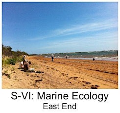 Quality Parks Master Naturalist S-VI: Marine Ecology, East End primary image