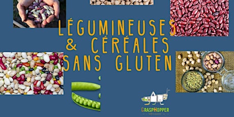 Primaire afbeelding van J'associe mes légumineuses aux céréales sans gluten