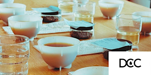 Image principale de Copy of Copy of Coffee Cupping Event - DUS Cupping Club