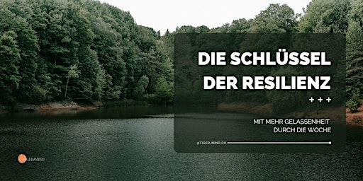 Hauptbild für Die Schlüssel der Resilienz