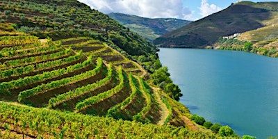 Immagine principale di Portuguese Wine Tasting with Ricardo Rodrigues of Portuguese Story