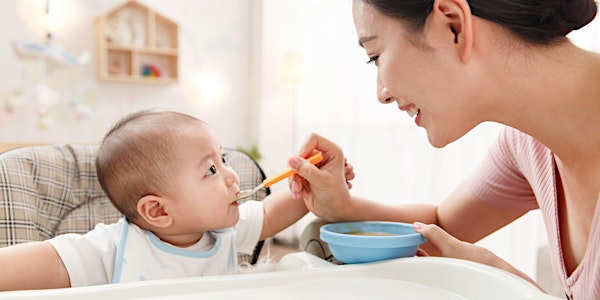 Feeding Your Baby and Making Your Own Baby Food - Virtual Workshop
