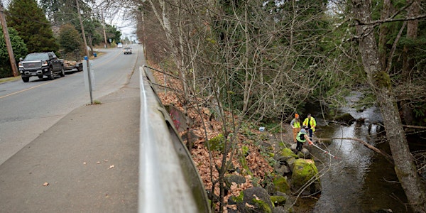 Protecting Salmon From Tire Wear Toxicants: 6PPDQ Workshop 2026