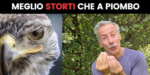 Image principale de Meglio Storti che a piombo