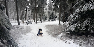 Immagine principale di Sa,31.01.26 Wanderdate Schlittengaudi im Taunus für 30-55J