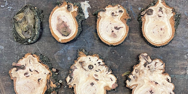 LOBSGOWS: Togo Miyashita