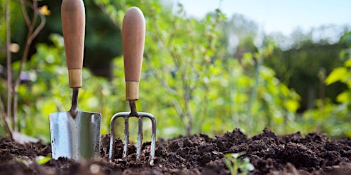 Image principale de Starting Your Garden