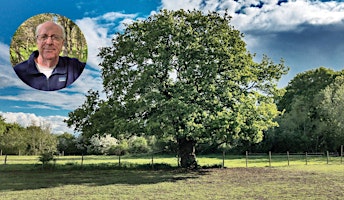 Why We Need Oaks and How to Save Them with Doug Tallamy \| live stream primary image