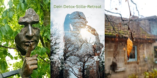 Detox-Stille-Retreat primary image