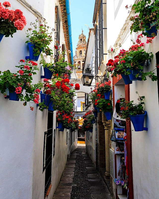Immagine principale di Guided Tour of the Jewish Quarter in Cordoba - Spanish