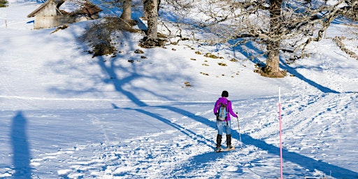 Image principale de Journée de raquette au mont Orford