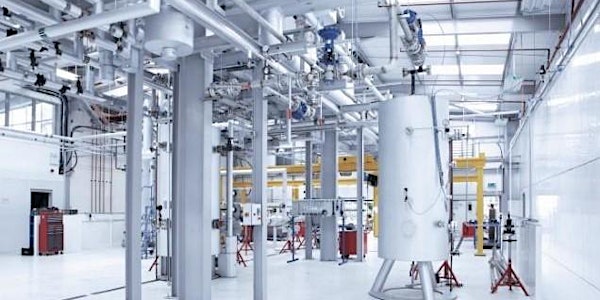 STM100 - Steam Utilization - Blythewood, SC